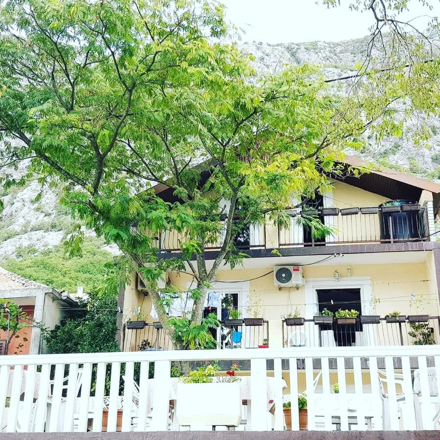 Montenegro Apartmant'S Kotor Exterior foto